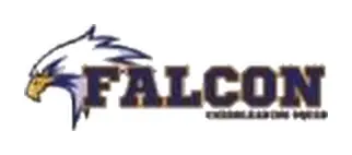 Falcon Cheerleading Squad